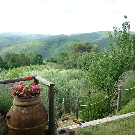 Εξοχικό σπίτι Casa Ceneruzzi *