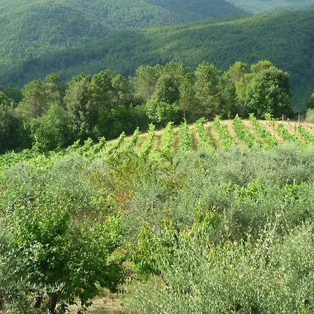 Εξοχικό σπίτι Casa Ceneruzzi